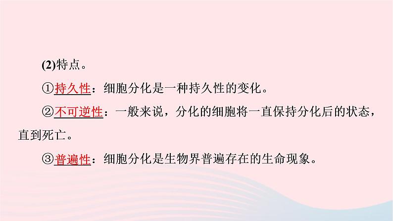 2023版高考生物一轮总复习第4单元细胞的生命历程第13课细胞的分化衰老和死亡课件05