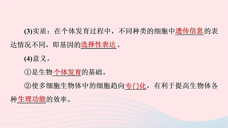 2023版高考生物一轮总复习第4单元细胞的生命历程第13课细胞的分化衰老和死亡课件06