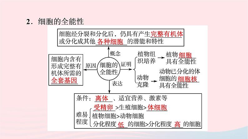 2023版高考生物一轮总复习第4单元细胞的生命历程第13课细胞的分化衰老和死亡课件07