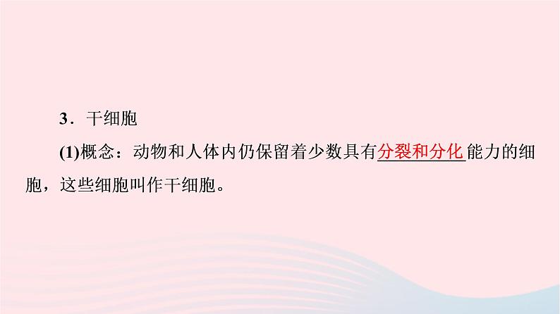 2023版高考生物一轮总复习第4单元细胞的生命历程第13课细胞的分化衰老和死亡课件08