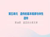 2023版高考生物一轮总复习第5单元遗传的基本规律与伴性遗传第14课基因的分离定律课件
