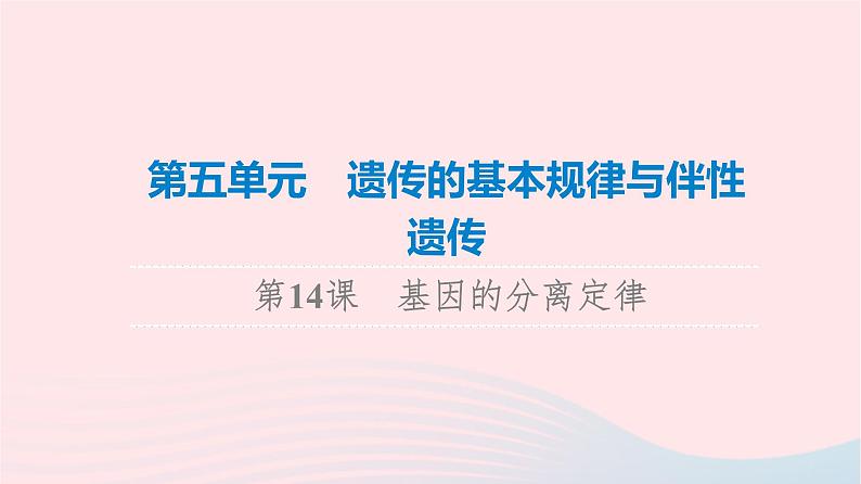 2023版高考生物一轮总复习第5单元遗传的基本规律与伴性遗传第14课基因的分离定律课件第1页