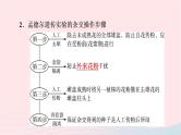 2023版高考生物一轮总复习第5单元遗传的基本规律与伴性遗传第14课基因的分离定律课件