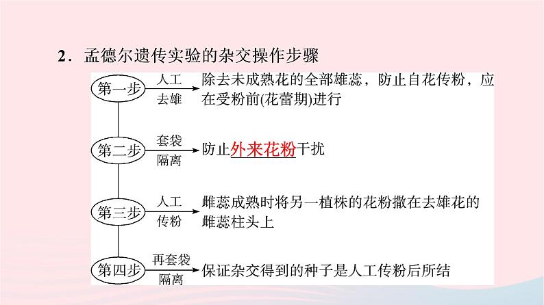 2023版高考生物一轮总复习第5单元遗传的基本规律与伴性遗传第14课基因的分离定律课件第5页