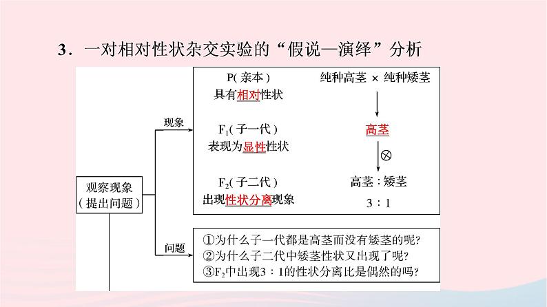 2023版高考生物一轮总复习第5单元遗传的基本规律与伴性遗传第14课基因的分离定律课件第6页