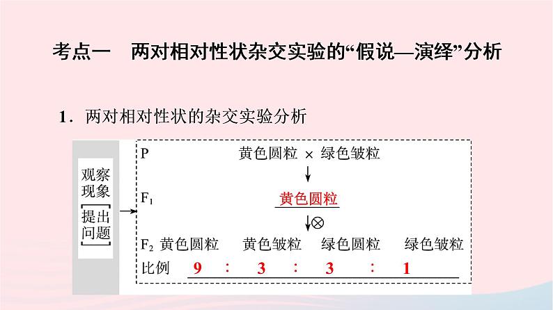 2023版高考生物一轮总复习第5单元遗传的基本规律与伴性遗传第15课基因的自由组合定律课件第4页