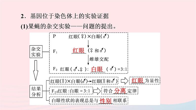 2023版高考生物一轮总复习第5单元遗传的基本规律与伴性遗传第16课基因在染色体上及伴性遗传和人类遗传参件 课件06