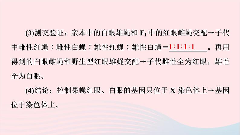 2023版高考生物一轮总复习第5单元遗传的基本规律与伴性遗传第16课基因在染色体上及伴性遗传和人类遗传参件 课件08