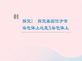 2023版高考生物一轮总复习第5单元遗传的基本规律与伴性遗传实验探究系列3.遗传类实验的设计课件