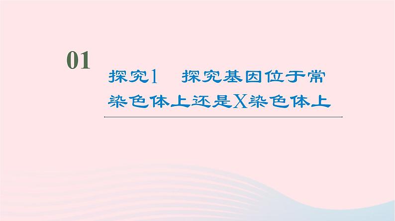 2023版高考生物一轮总复习第5单元遗传的基本规律与伴性遗传实验探究系列3.遗传类实验的设计课件第2页