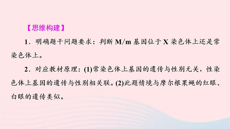 2023版高考生物一轮总复习第5单元遗传的基本规律与伴性遗传实验探究系列3.遗传类实验的设计课件第6页