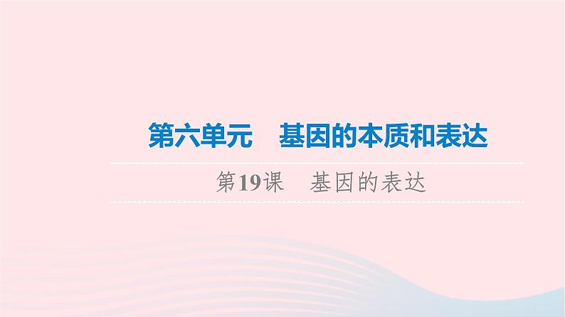 2023版高考生物一轮总复习第6单元基因的本质和表达第19课基因的表达课件第1页