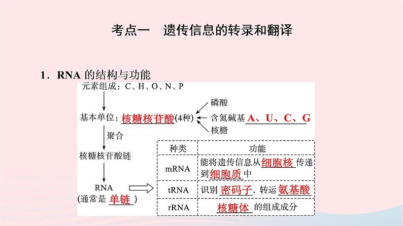 2023版高考生物一轮总复习第6单元基因的本质和表达第19课基因的表达课件第4页