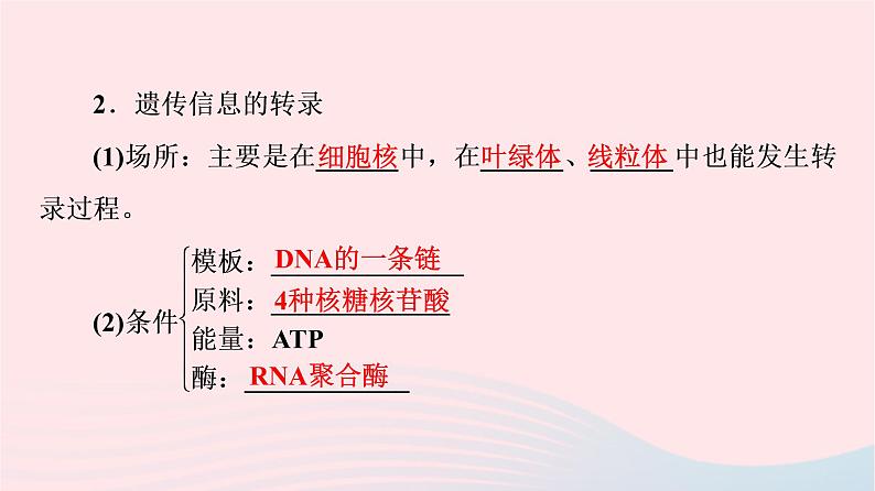 2023版高考生物一轮总复习第6单元基因的本质和表达第19课基因的表达课件第5页