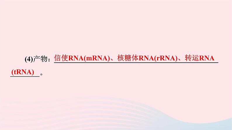 2023版高考生物一轮总复习第6单元基因的本质和表达第19课基因的表达课件第7页