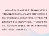 2023版高考生物一轮总复习第6单元基因的本质和表达实验探究系列4.实验技术在生物学实验中的应用课件