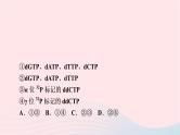 2023版高考生物一轮总复习第6单元基因的本质和表达实验探究系列4.实验技术在生物学实验中的应用课件