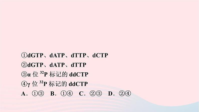 2023版高考生物一轮总复习第6单元基因的本质和表达实验探究系列4.实验技术在生物学实验中的应用课件第4页