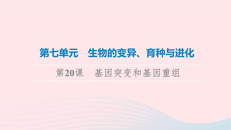 2023版高考生物一轮总复习第7单元生物的变异育种与进化第20课基因突变和基因重组课件01