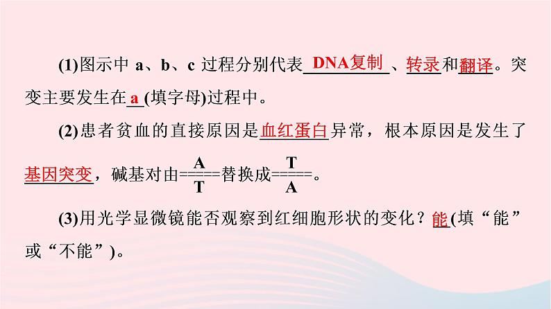 2023版高考生物一轮总复习第7单元生物的变异育种与进化第20课基因突变和基因重组课件05