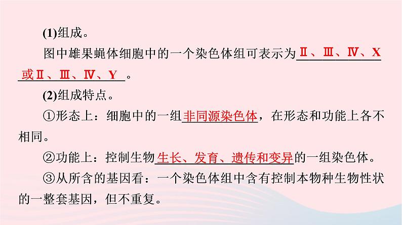 2023版高考生物一轮总复习第7单元生物的变异育种与进化第21课染色体变异课件06