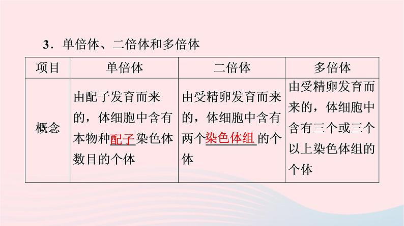 2023版高考生物一轮总复习第7单元生物的变异育种与进化第21课染色体变异课件07