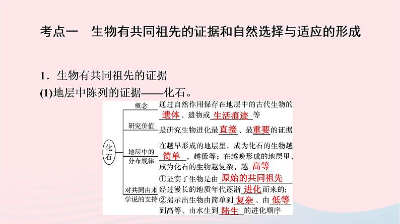 2023版高考生物一轮总复习第7单元生物的变异育种与进化第22课生物的进化课件04