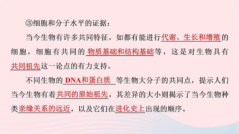 2023版高考生物一轮总复习第7单元生物的变异育种与进化第22课生物的进化课件06