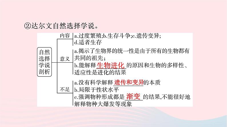 2023版高考生物一轮总复习第7单元生物的变异育种与进化第22课生物的进化课件08