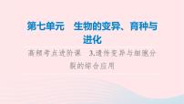 2023版高考生物一轮总复习第7单元生物的变异育种与进化高频考点进阶课3.遗传变异与细胞分裂的综合应用课件