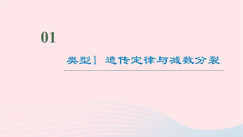 2023版高考生物一轮总复习第7单元生物的变异育种与进化高频考点进阶课3.遗传变异与细胞分裂的综合应用课件02