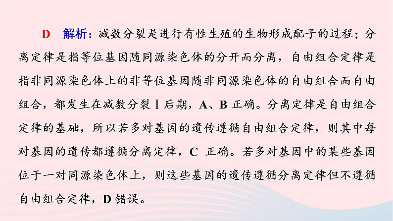 2023版高考生物一轮总复习第7单元生物的变异育种与进化高频考点进阶课3.遗传变异与细胞分裂的综合应用课件04