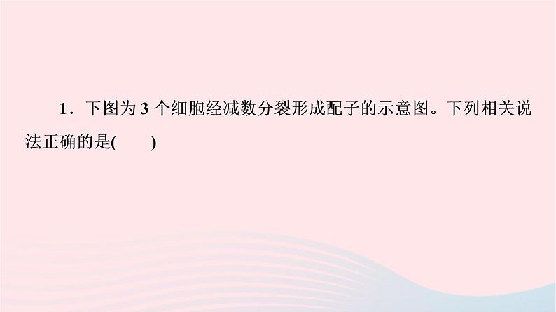 2023版高考生物一轮总复习第7单元生物的变异育种与进化高频考点进阶课3.遗传变异与细胞分裂的综合应用课件06