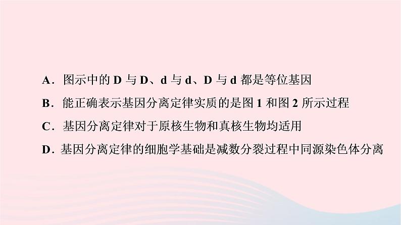 2023版高考生物一轮总复习第7单元生物的变异育种与进化高频考点进阶课3.遗传变异与细胞分裂的综合应用课件07