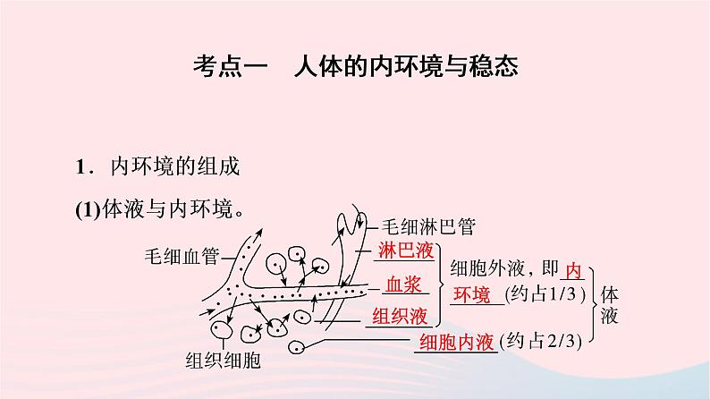 2023版高考生物一轮总复习第8单元生命活动的调节第23课人体的内环境与稳态课件04