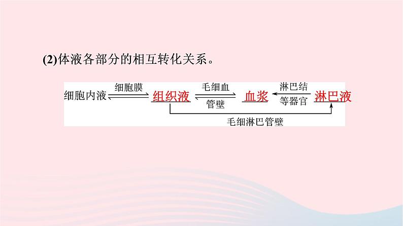 2023版高考生物一轮总复习第8单元生命活动的调节第23课人体的内环境与稳态课件05