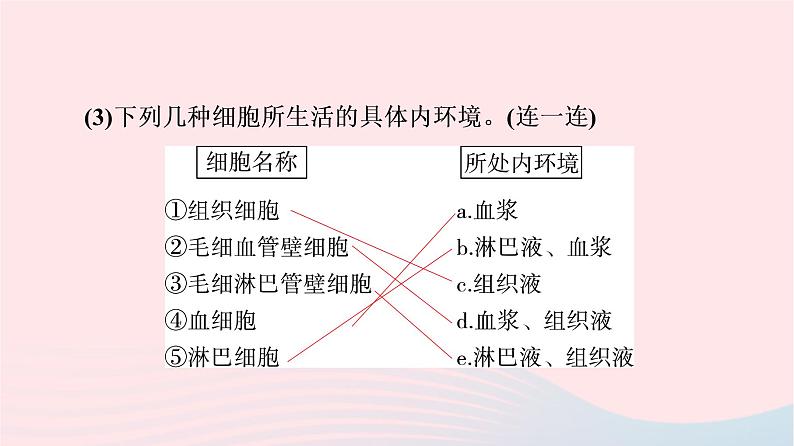 2023版高考生物一轮总复习第8单元生命活动的调节第23课人体的内环境与稳态课件06