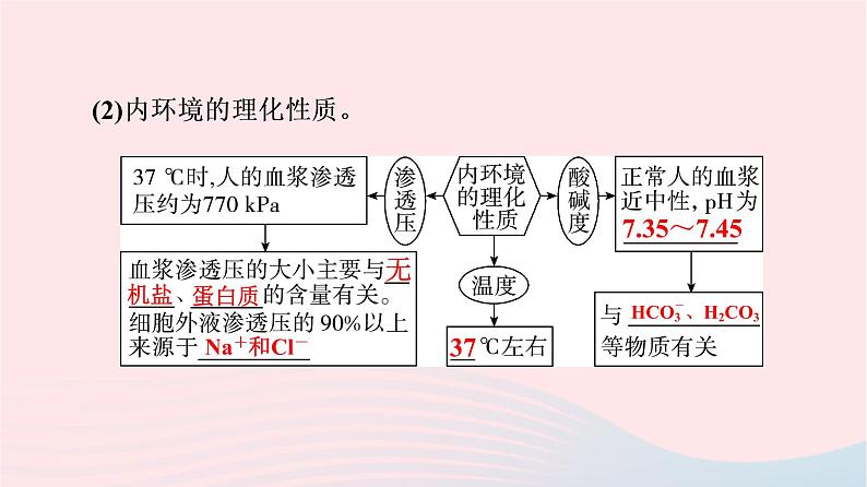 2023版高考生物一轮总复习第8单元生命活动的调节第23课人体的内环境与稳态课件08