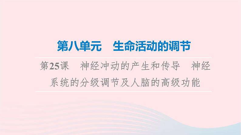 2023版高考生物一轮总复习第8单元生命活动的调节第25课神经冲动的产生和传导神经系统的分级调节及人脑的高级功能课件01