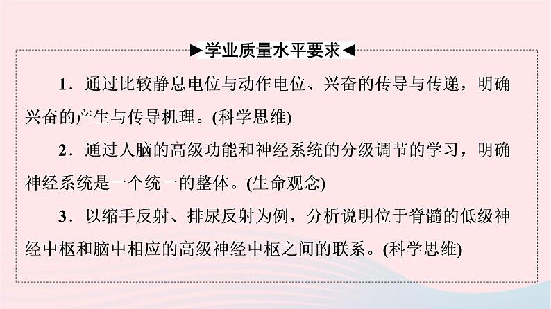 2023版高考生物一轮总复习第8单元生命活动的调节第25课神经冲动的产生和传导神经系统的分级调节及人脑的高级功能课件02