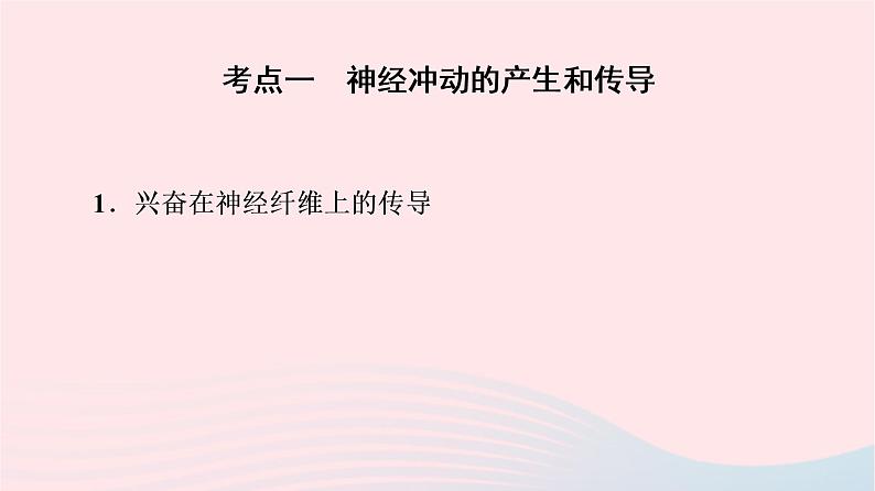 2023版高考生物一轮总复习第8单元生命活动的调节第25课神经冲动的产生和传导神经系统的分级调节及人脑的高级功能课件05