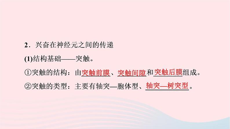 2023版高考生物一轮总复习第8单元生命活动的调节第25课神经冲动的产生和传导神经系统的分级调节及人脑的高级功能课件07