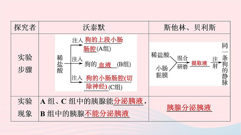 2023版高考生物一轮总复习第8单元生命活动的调节第26课内分泌系统组成与体液调节的过程课件05