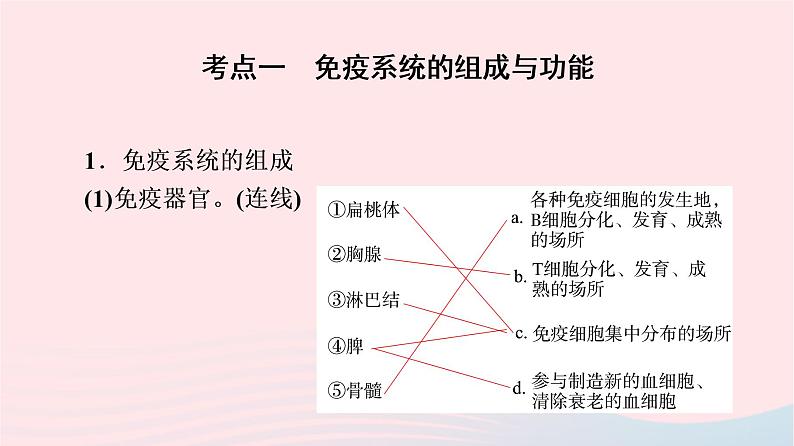 2023版高考生物一轮总复习第8单元生命活动的调节第28课免疫调节课件第4页