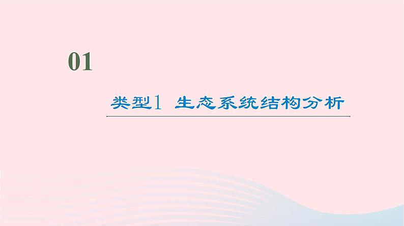 2023版高考生物一轮总复习第9单元生物与环境高频考点进阶课5.生态系统的结构与功能课件第2页