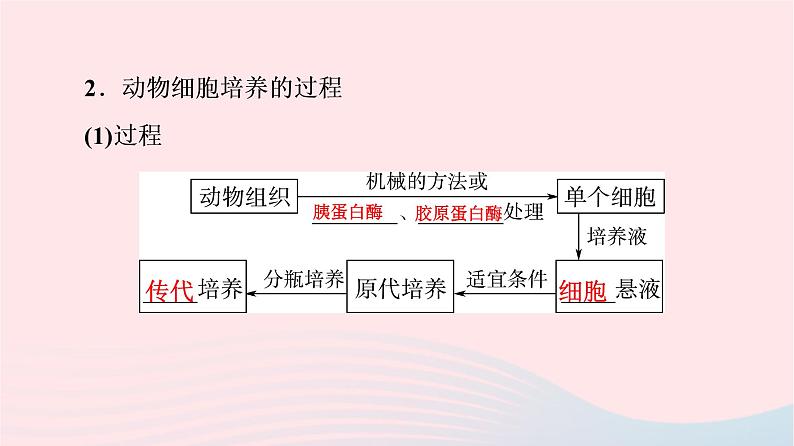 2023版高考生物一轮总复习第10单元生物技术与工程第38课动物细胞工程课件07