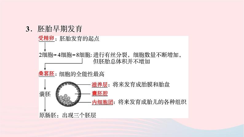 2023版高考生物一轮总复习第10单元生物技术与工程第39课胚胎工程生物技术的安全性与伦理问题课件第7页