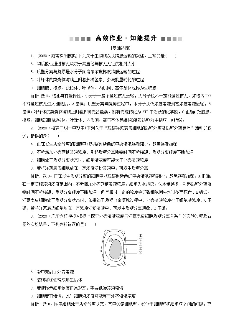 高考生物一轮复习第6讲细胞的物质输入和输出达标练含答案01