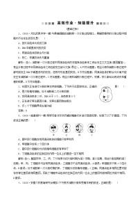 高考生物一轮复习第11讲减数分裂及受精作用达标练含答案