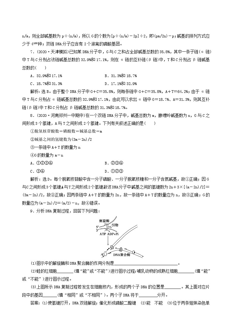高考生物一轮复习第18讲dna分子的结构、复制及基因的本质达标练含答案第3页